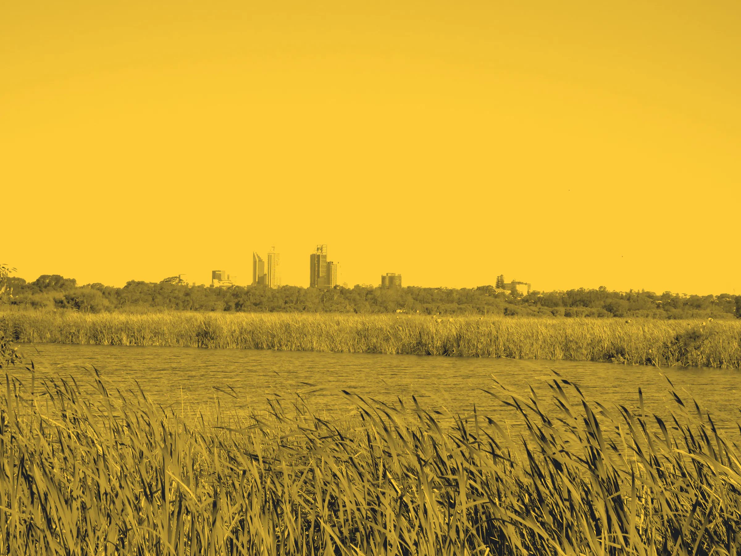 Herdsman Lake, with the Perth city skyline on the horizon